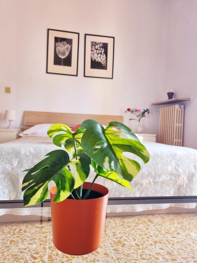 Prime Guest House Pisa Exterior photo